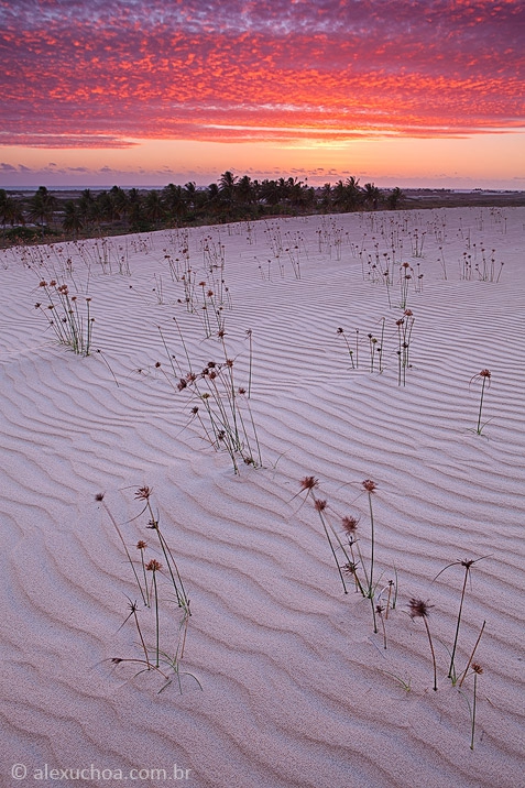 Dunas Etéreas